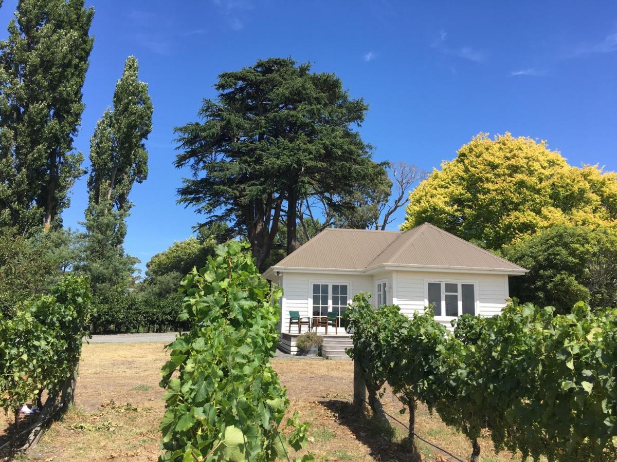 Tuki Vineyard Cottage 해브록노스 외부 사진